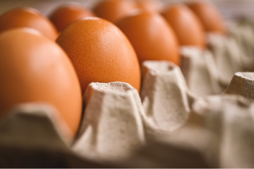 Fresh Farm Eggs